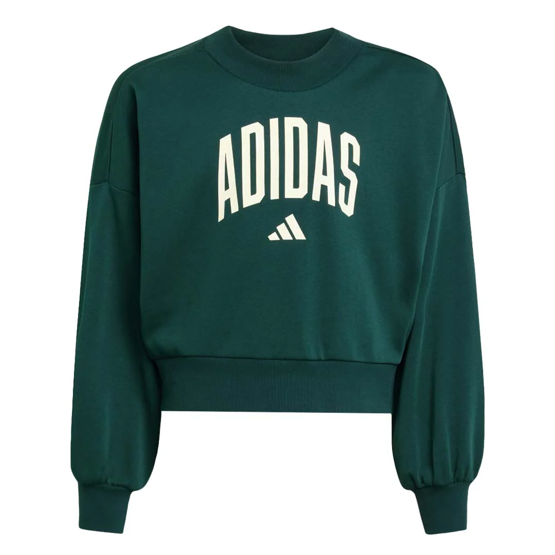 adidas - Girls' (Junior) Seasonals Essentials Collegiate Typography Crewneck Sweatshirt (JV7377)