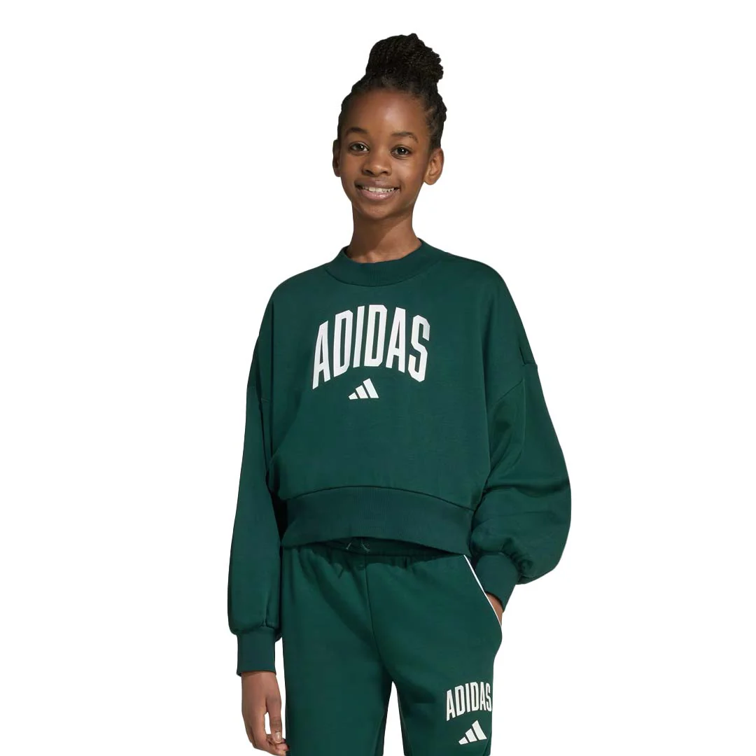 adidas - Girls' (Junior) Seasonals Essentials Collegiate Typography Crewneck Sweatshirt (JV7377) - Image 2
