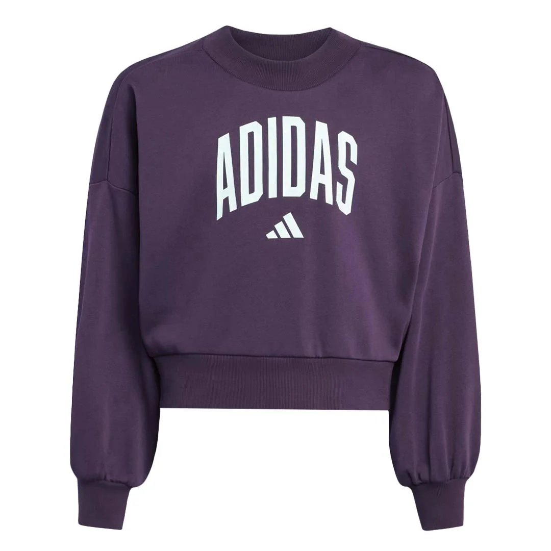 adidas - Girls' (Junior) Seasonals Essentials Collegiate Typography Crewneck Sweatshirt (JV7379)