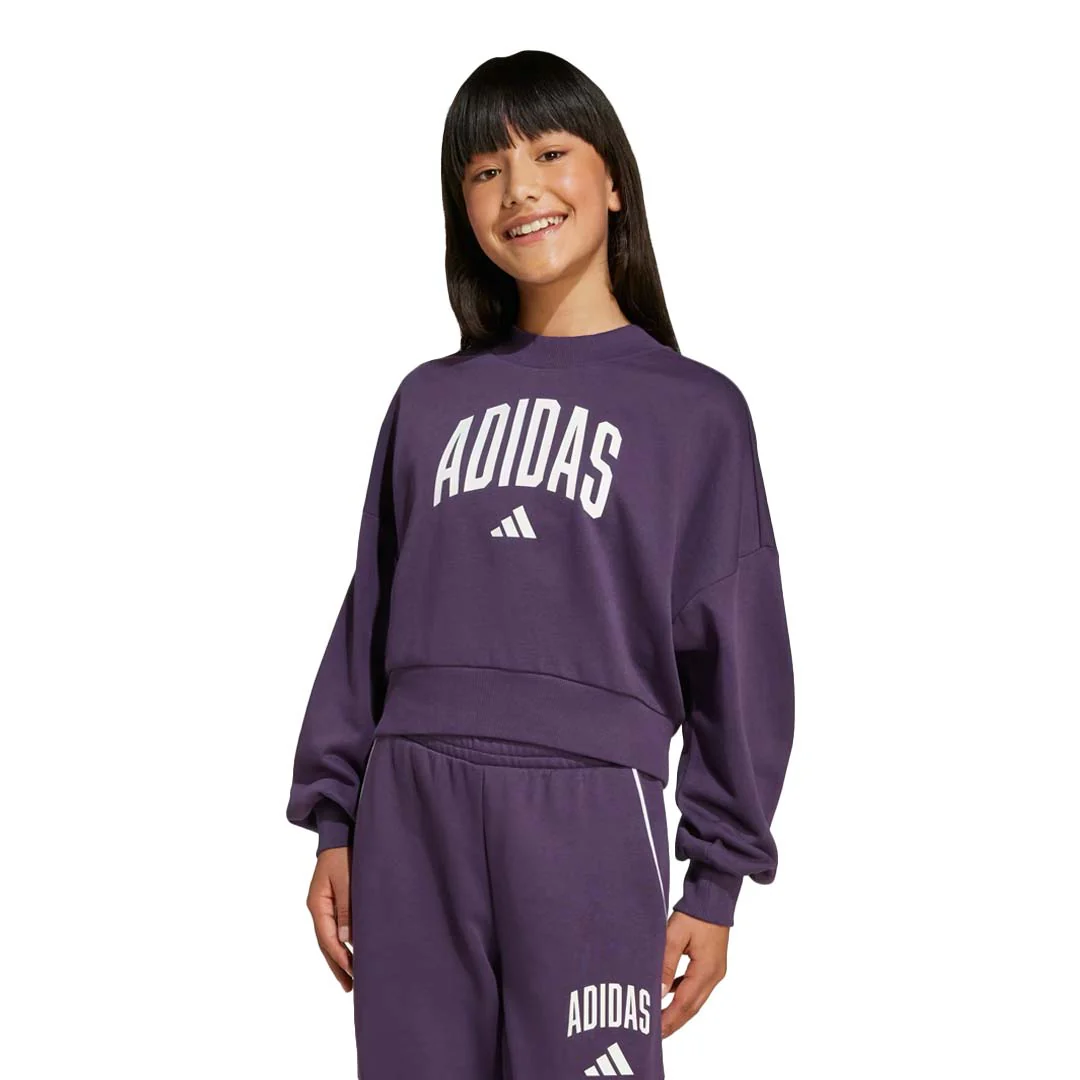 adidas - Girls' (Junior) Seasonals Essentials Collegiate Typography Crewneck Sweatshirt (JV7379) - Image 2