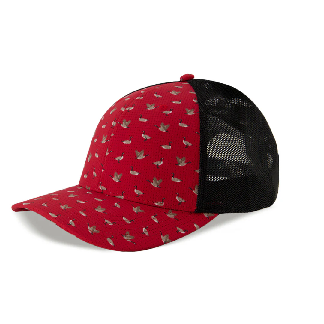 Levelwear - Pride Cap (HCB3L CPI) - Image 2