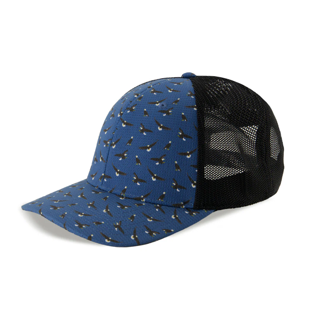Levelwear - Pride Cap (HCB3L CPJ) - Image 2