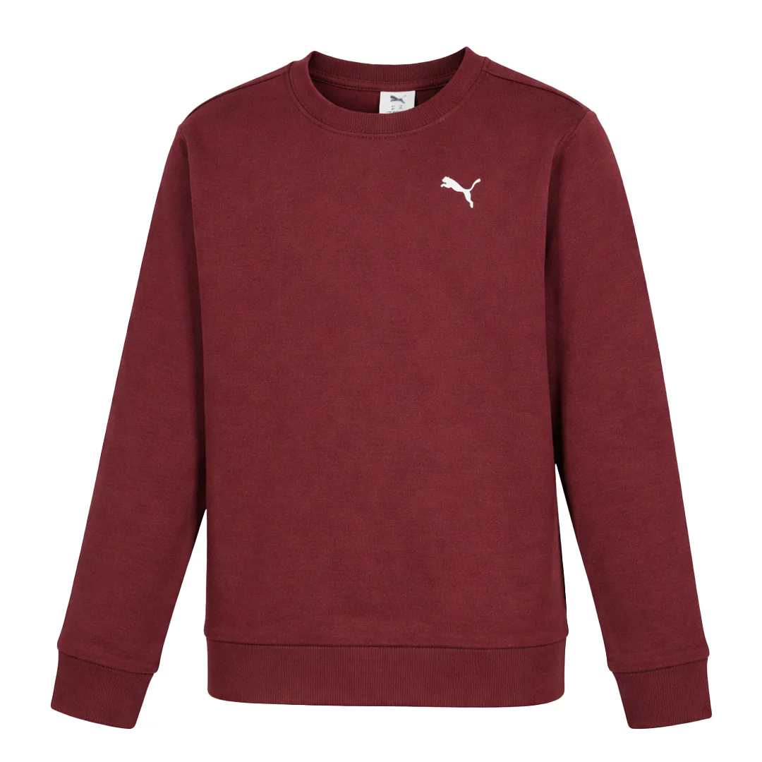 Puma - Kids' (Junior) Class Pack Fleece Crewneck Sweater (PFA25V9P-18837 662)