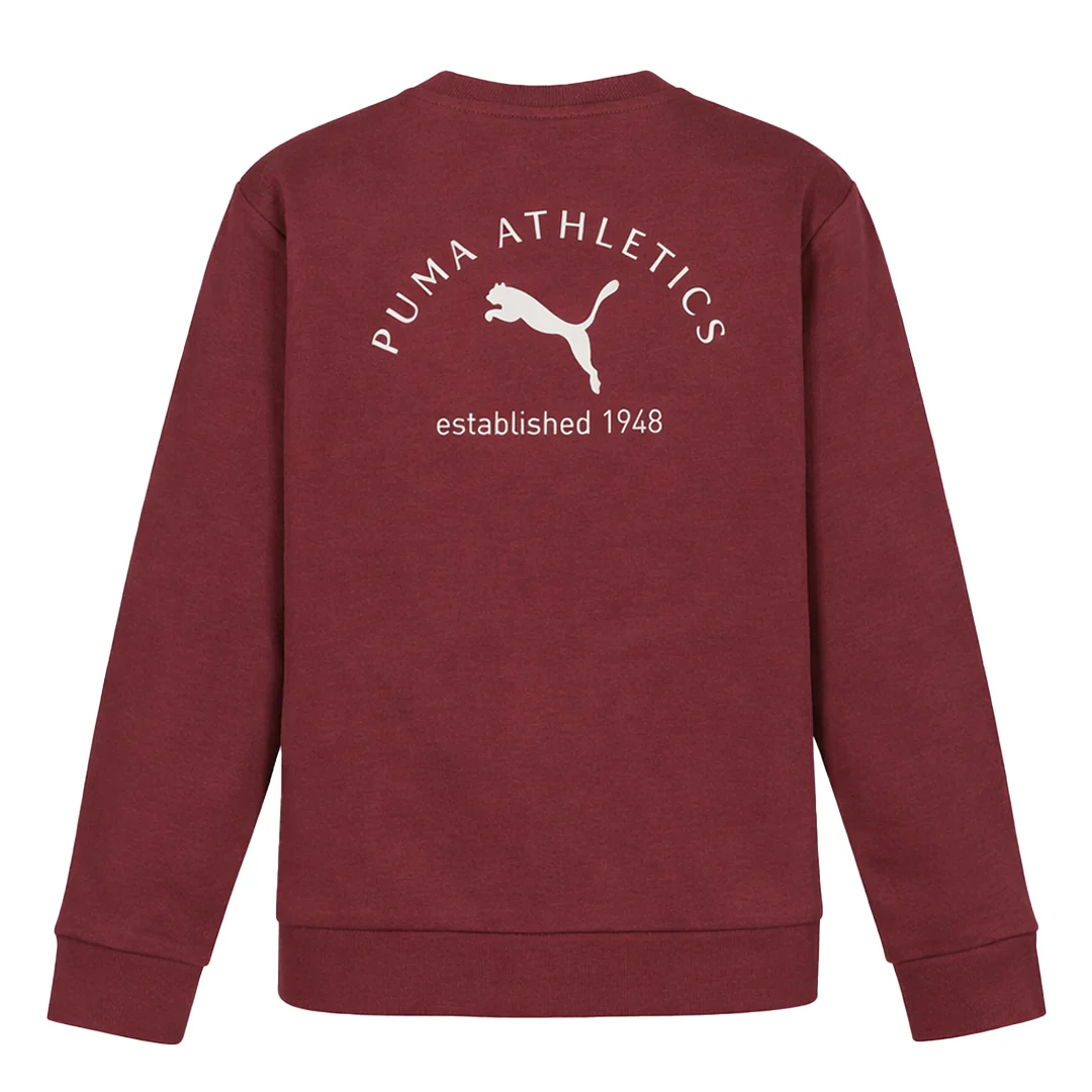 Puma - Kids' (Junior) Class Pack Fleece Crewneck Sweater (PFA25V9P-18837 662) - Image 2